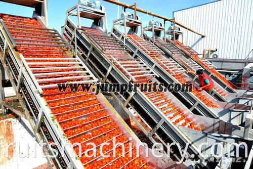 Tomato Spaghetti Bolognese Beef paste tomato sauce making line